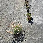 Burren House, Wild Atlantic Way