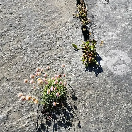 Burren House, Wild Atlantic Way