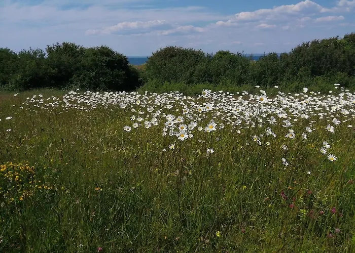 Дом отдыха Burren House, Wild Atlantic Way *