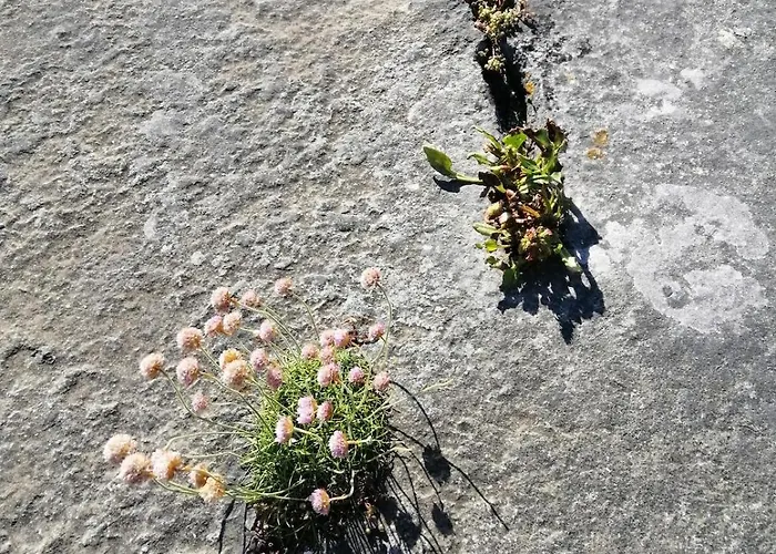 Burren House, Wild Atlantic Way